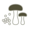 Vildmarkscentret - Gastro