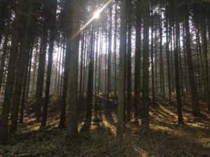 Vildmarkscentret - Mountainbike