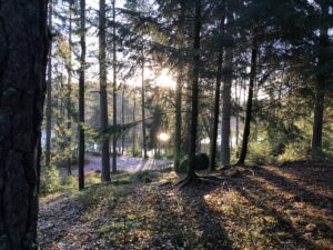 Vildmarkscentret - Mountainbike