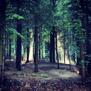 Vildmarkscentret - Mountainbike