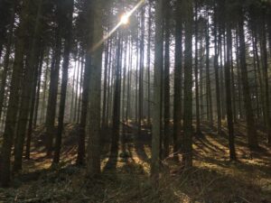 Vildmarkscentret - Mountainbike